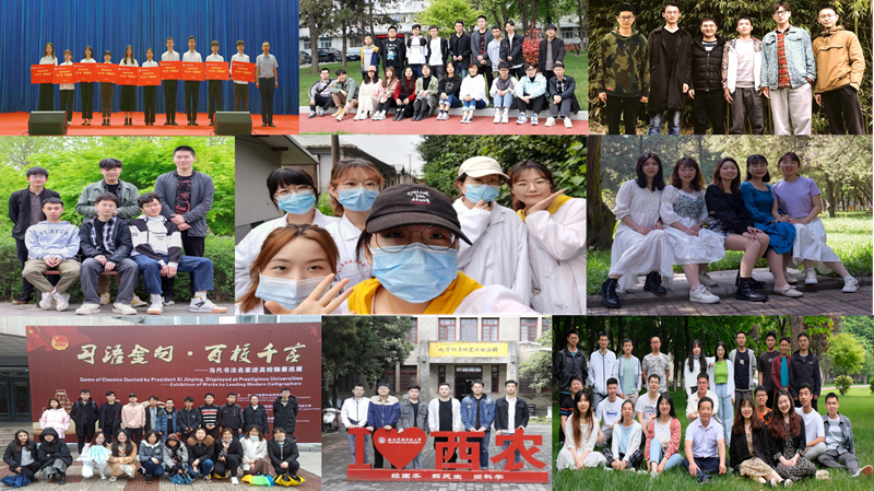 1b06d823cf9a41328118d4625d595dca.png 100.png