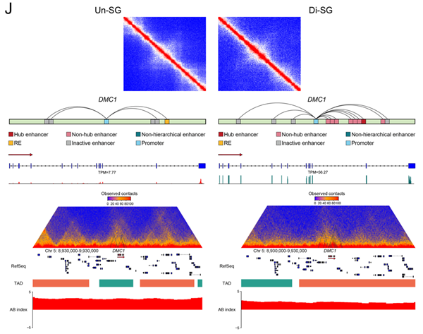 5bb3f1fe9bb94531bbae27900e451332.png QQ截图20220104094049_副本.png