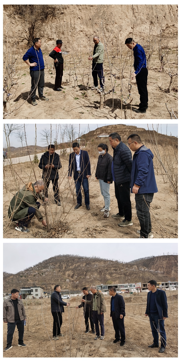 98d0d23e2d40405b8942d1529bd9ed61.jpg 现场指导.jpg