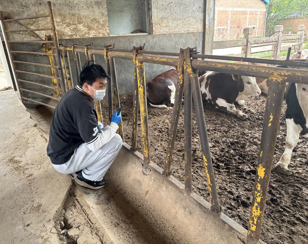 38b8c3db83ca8c05eb6c60ffbb29972