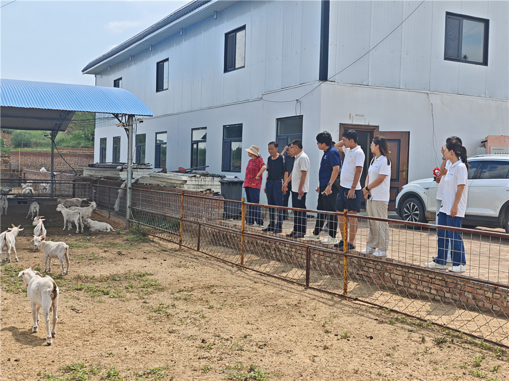 图片二 队员在羊圈参观学习.jpg
