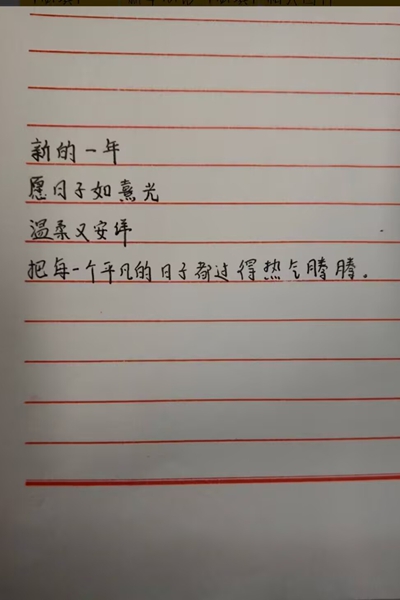 图一 同学手写新年美好期许.jpg