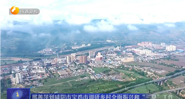 【陕西卫视】省委副书记邢善萍赴我院正大吨产奶山羊育种基地考察调研