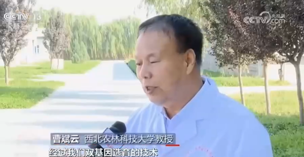 【中央电视台】深耕科技沃土，培植智慧农业