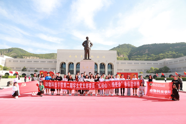 bcd8d62619c349958824a71ca1267652_副本.jpg