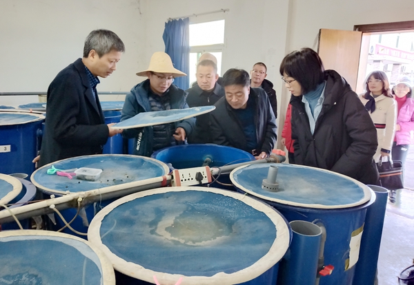 4989c2e914254df8a377cd378b584314.jpg 王处长一行参观水产试验示范站循环水车间养殖设施_副本.jpg