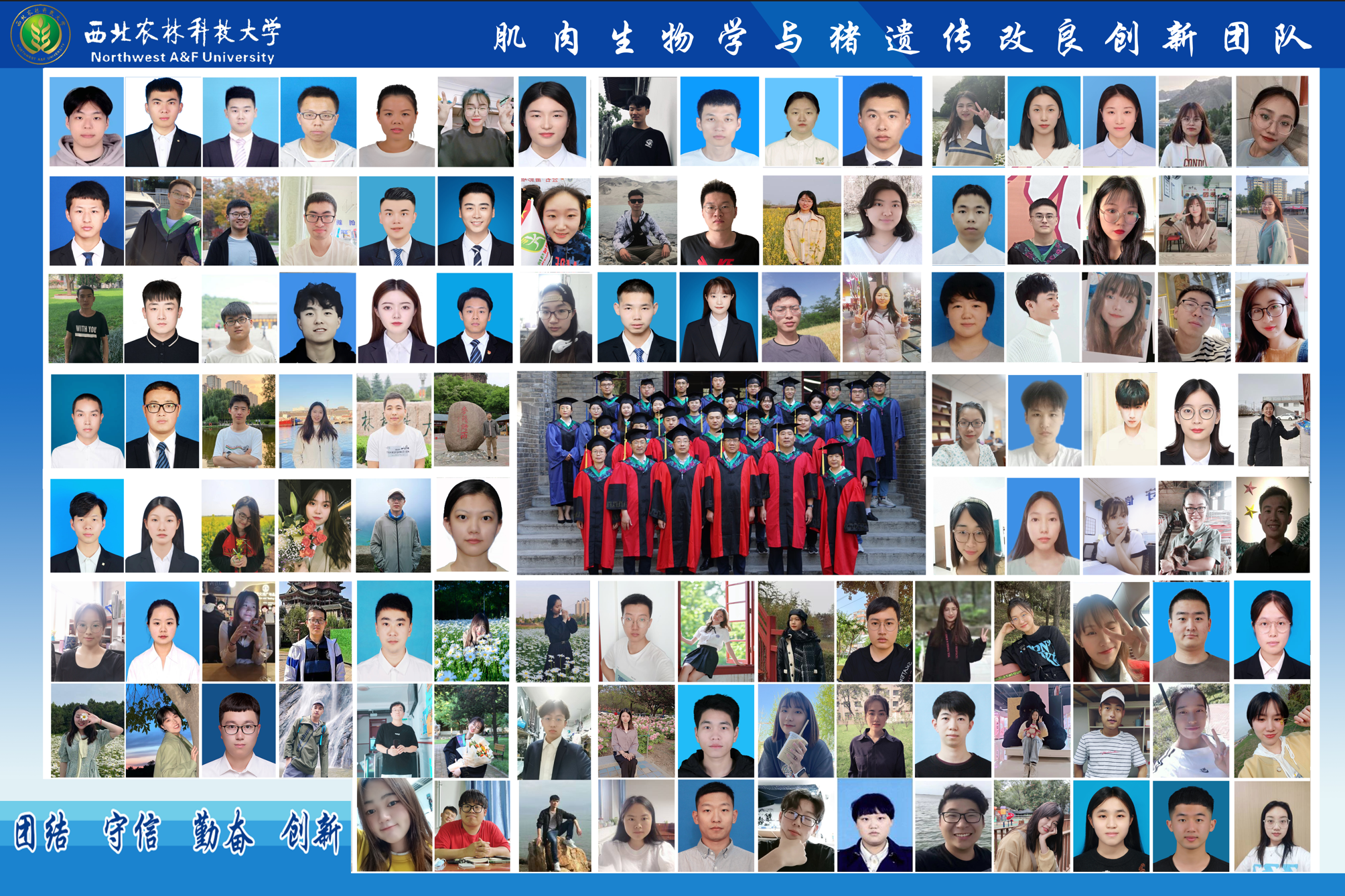 QQ图片20220801201258.png