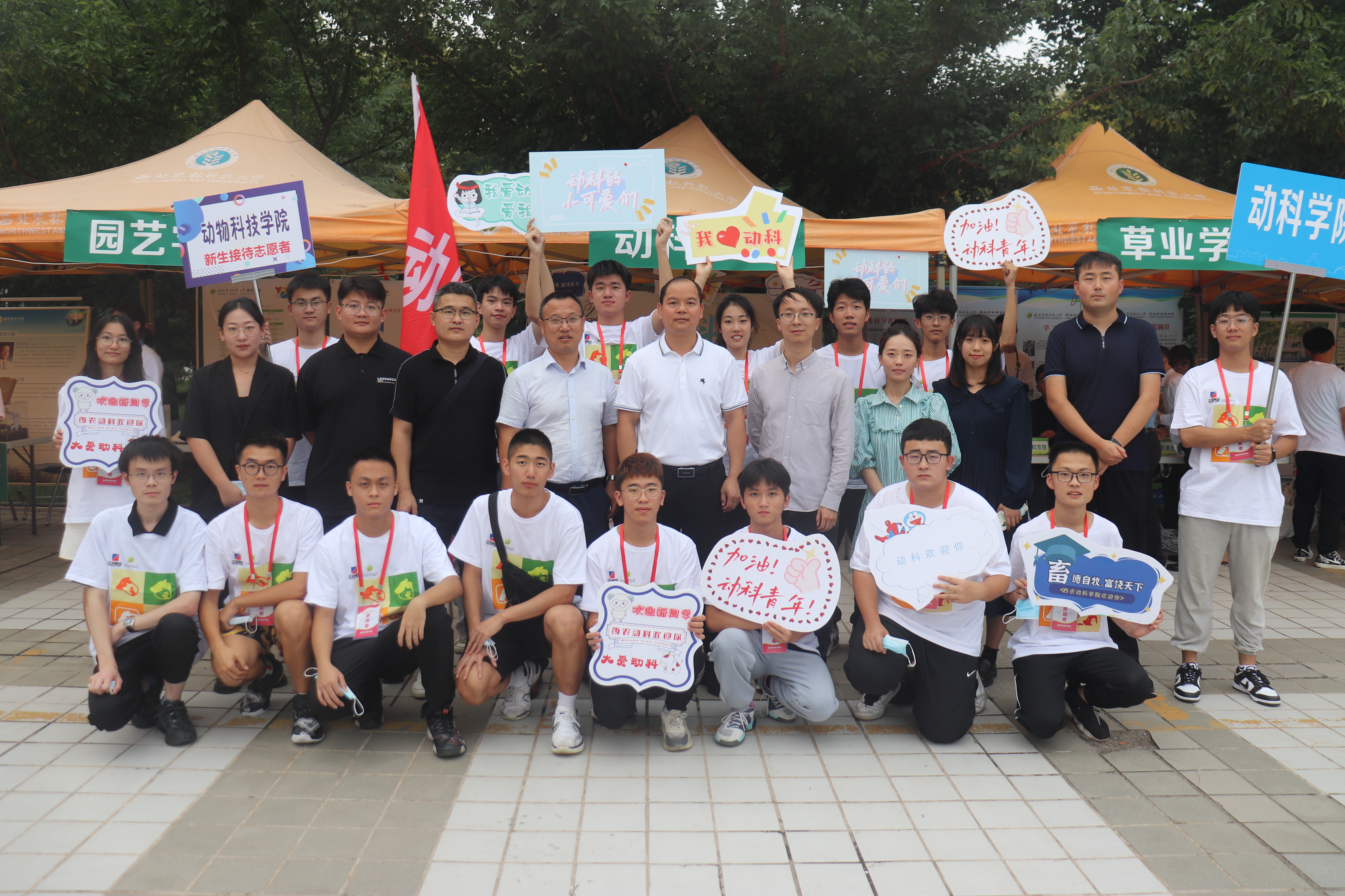 930960c3ede24779a6933ac735c1d2c7.jpg 930960c3ede24779a6933ac735c1d2c7.jpg