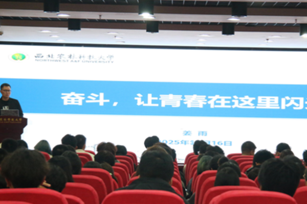 图一 丁书记主持团分校.png