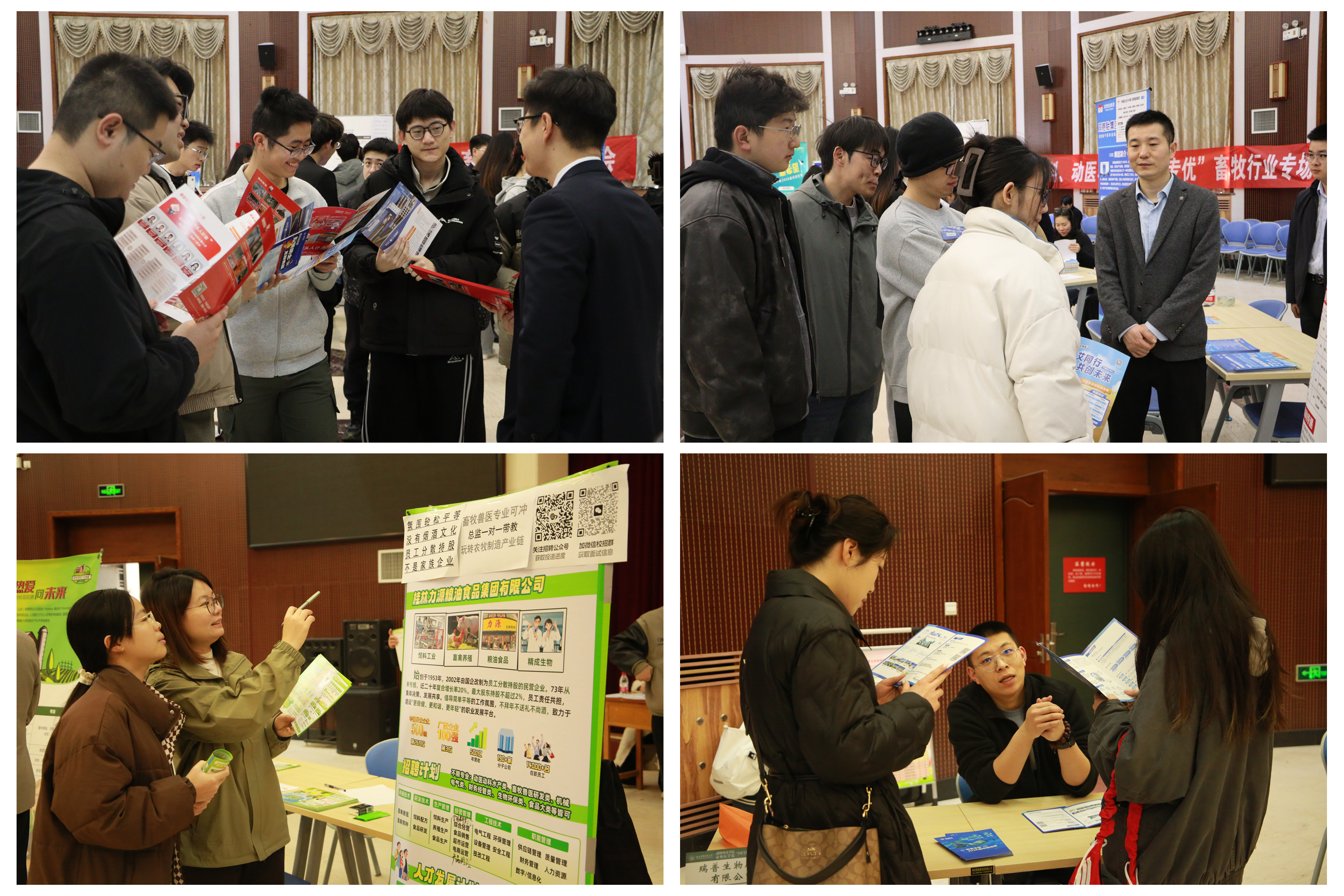 学生求职.jpg