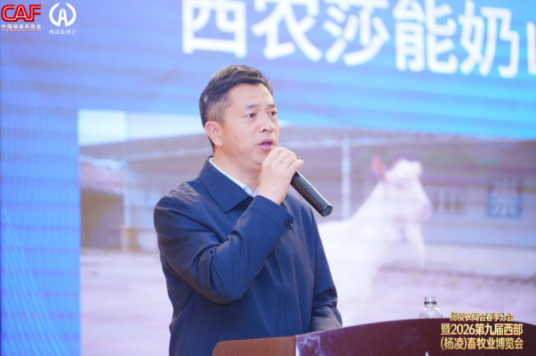 QQ_1775204540221.png
