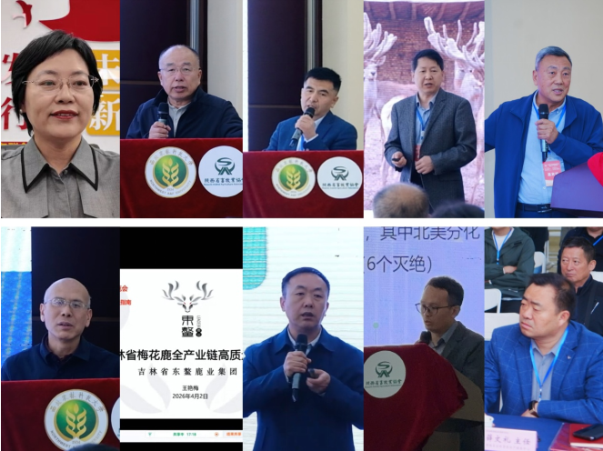 QQ_1776653279940.png