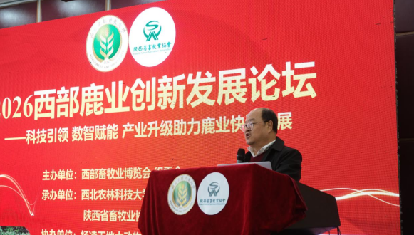 QQ_1776653323364.png